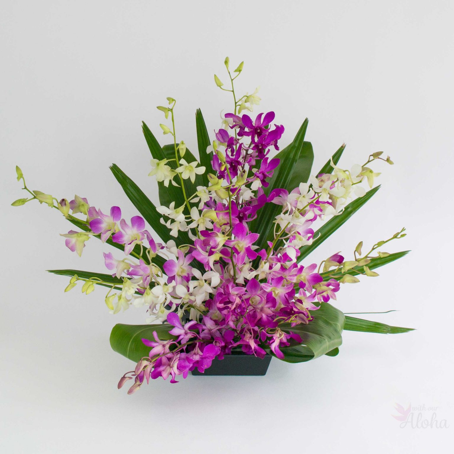 Okika – ‘Orchids’ Hawaiian Flower Assortments – Not Arranged – Shipped ...